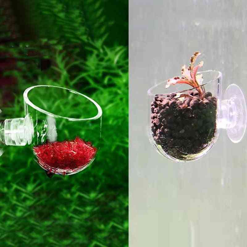 Mini Crystal Acrylic Pot Polka Water Planting Cylinder Cup