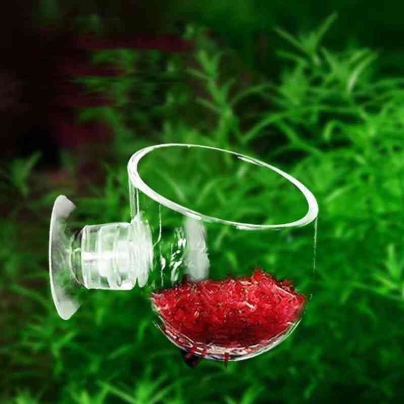 Mini Crystal Acrylic Pot Polka Water Planting Cylinder Cup