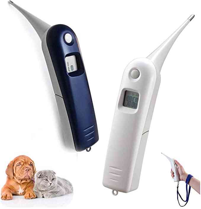 Fast Digital Veterinary Rectal Thermometer