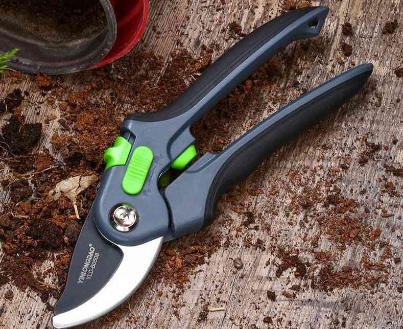 Plant Gardening Pruning Shrubs Shears Tools