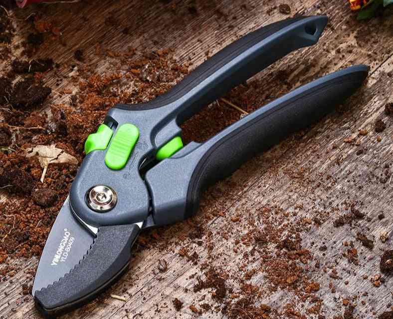 Plant Gardening Pruning Shrubs Shears Tools