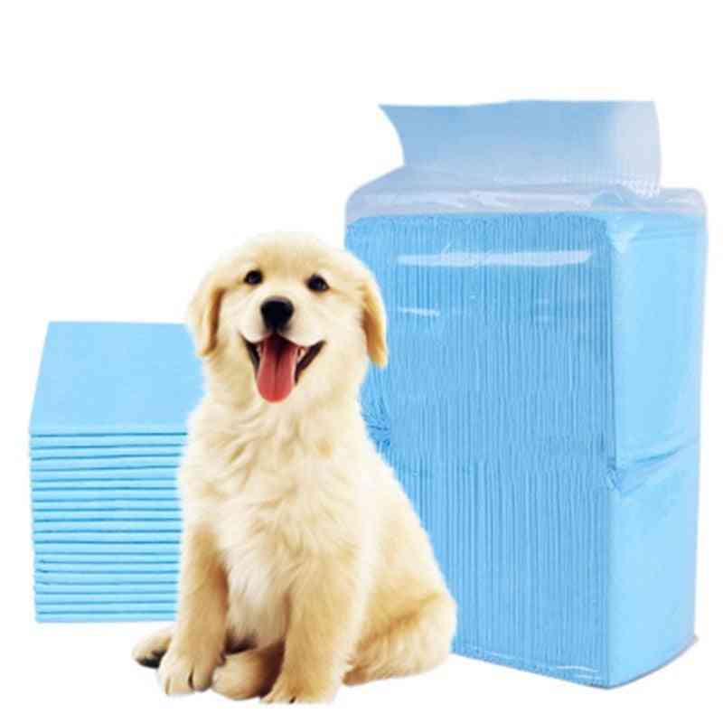 Dog Training Pee Super Absorbent Pet Diaper