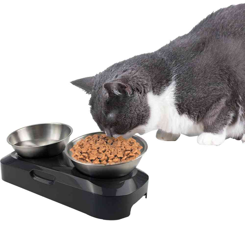 Stainless Steel Cat Bowls Clean Food And Water Bowls With Stand