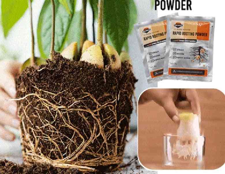 Snabb växt blomma rooter hormon tillväxt pulver