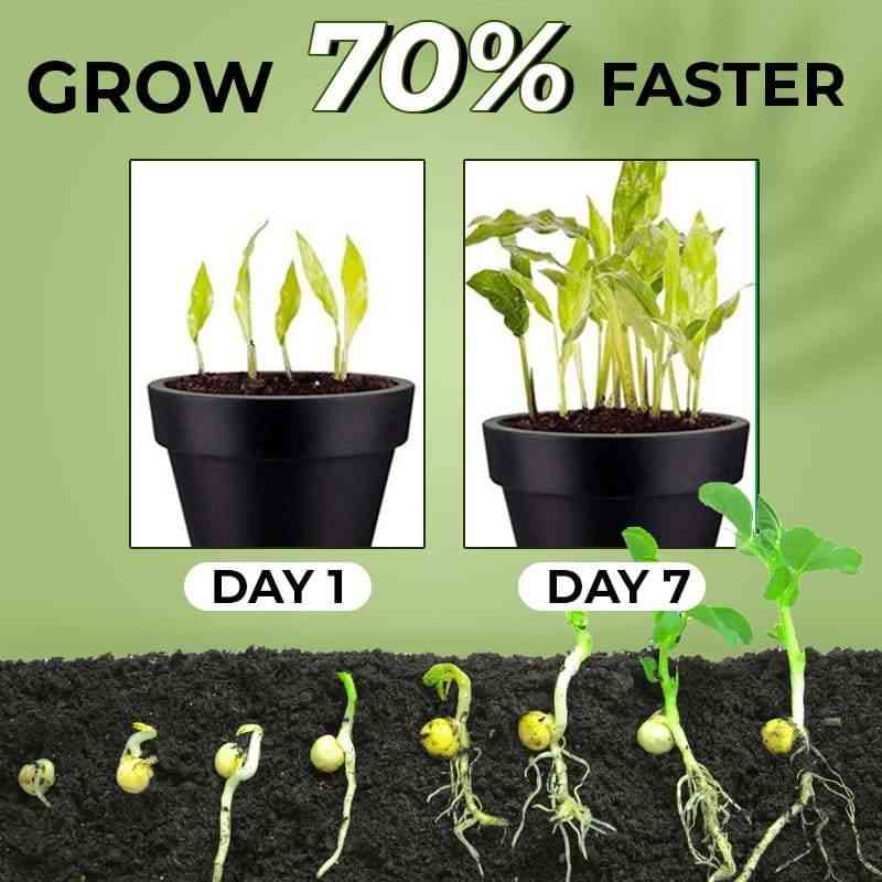 Fast Plant Flower Rooter Hormone Growth Powder