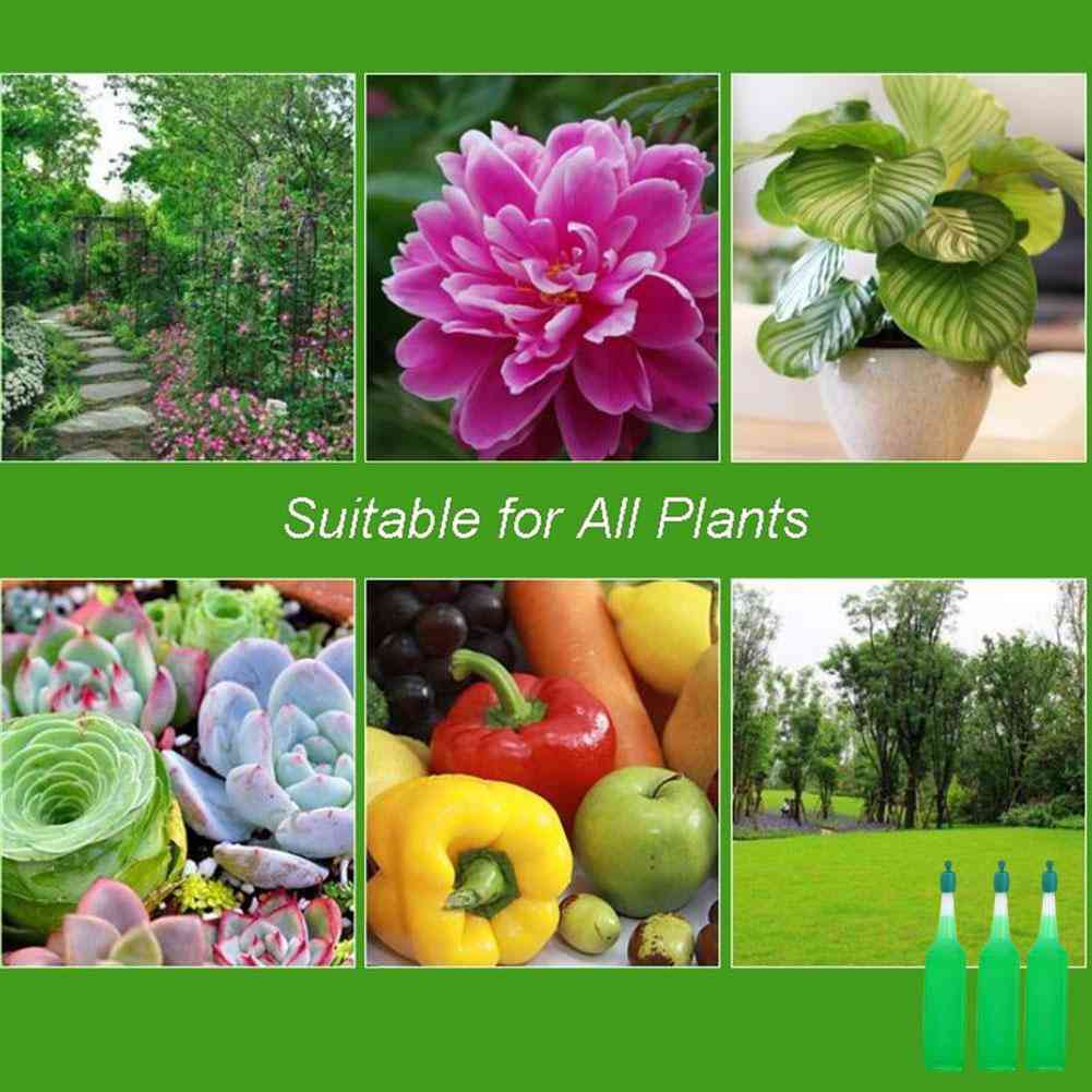 38ml General Plant Nutrient Fertilizer  Solution