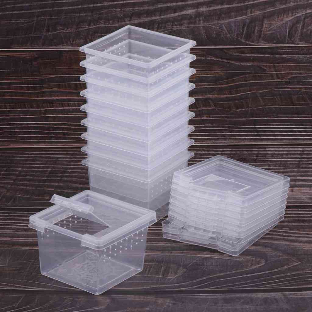 Reptile Vivarium Terrarium Insect Rearing Box, Food Feeding Box