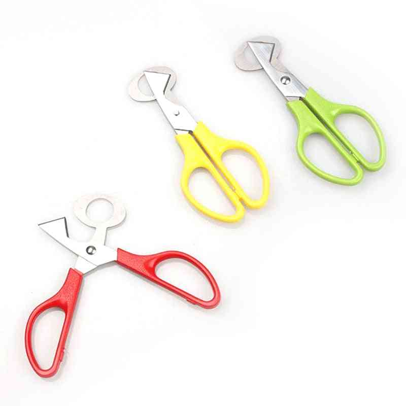 Stainless Steel Egg Cutters Scissor Kitchen Tool
