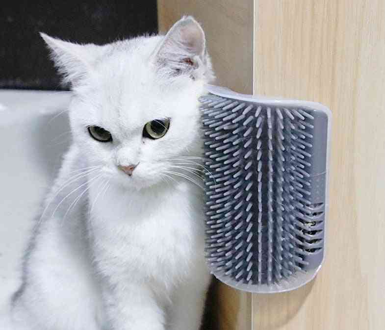 Kissan itsensä trimmaaja kissanmintulla pehmeällä kissan seinäkulmalla