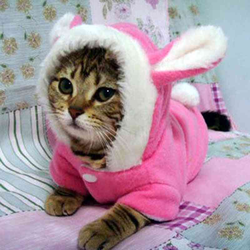 Kæledyr kat tøj mascotas kostume tøj til kæledyr hættetrøjer