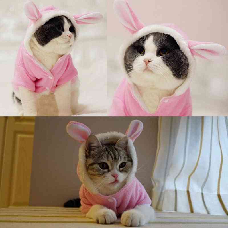 Pet Cat Clothes Mascotas Costume Clothes For Pet Hoodies