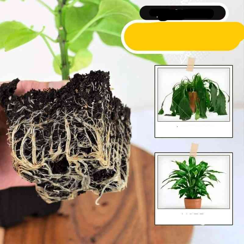 Rapid Rooting Powder Water Soluble Seeds Fertilizer