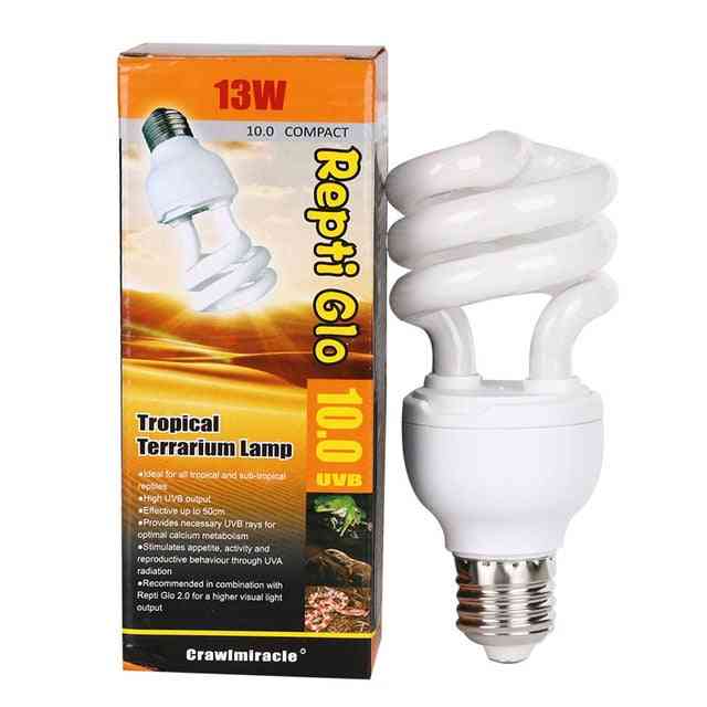 13w Reptile Light Bulb