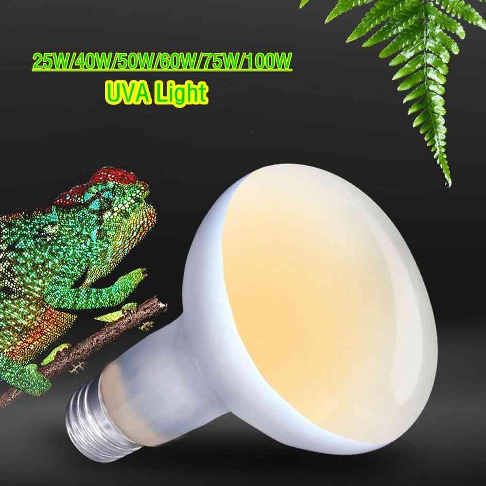 Uva+uvb Reptile Lamp Bulb